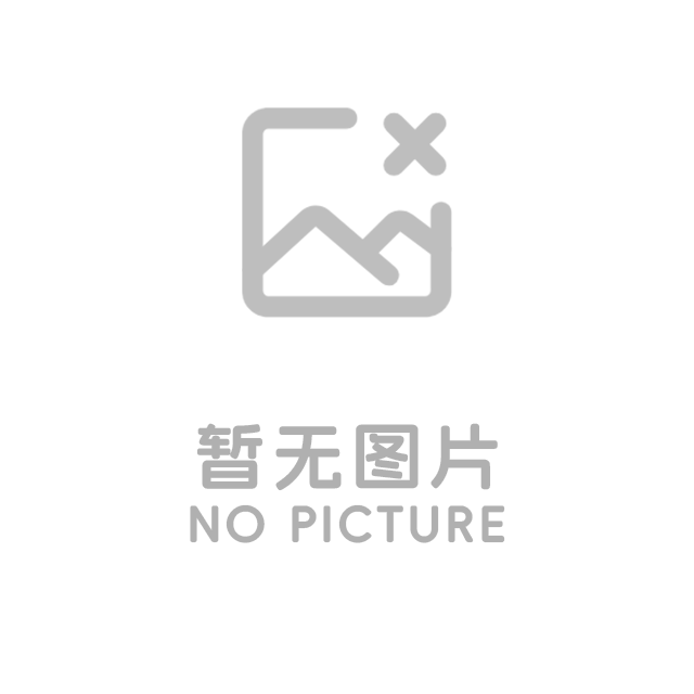 导热油炉